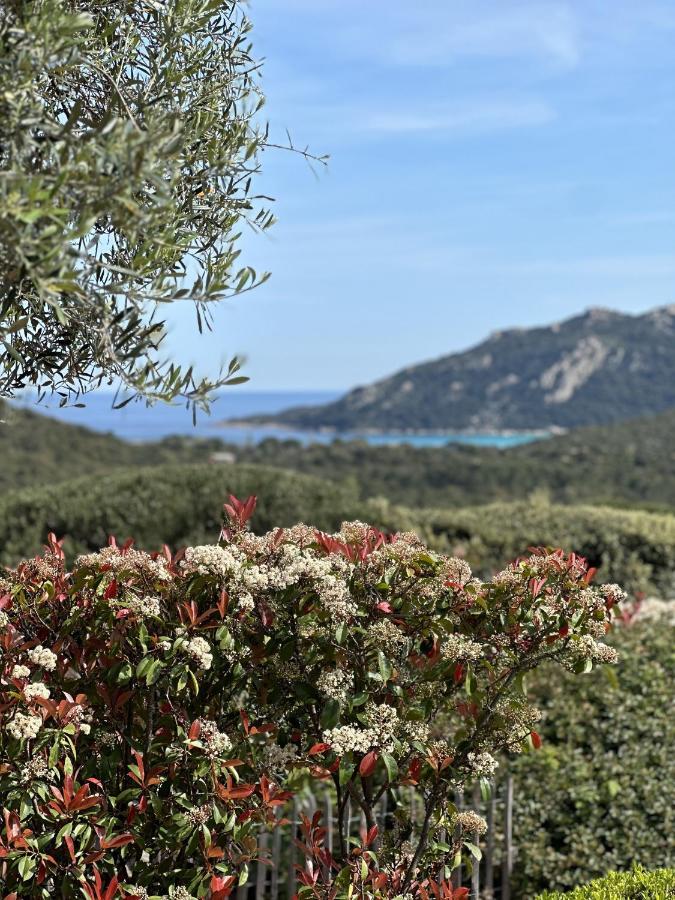 Tres Belle Bergerie Avec Piscine Chauffee A 1 Km De Santa Giulia Villa Porto-Vecchio  Bagian luar foto